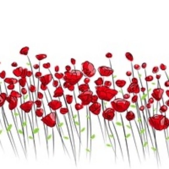 WOMEN'S CLOTHES----> - Picture 12 of 14